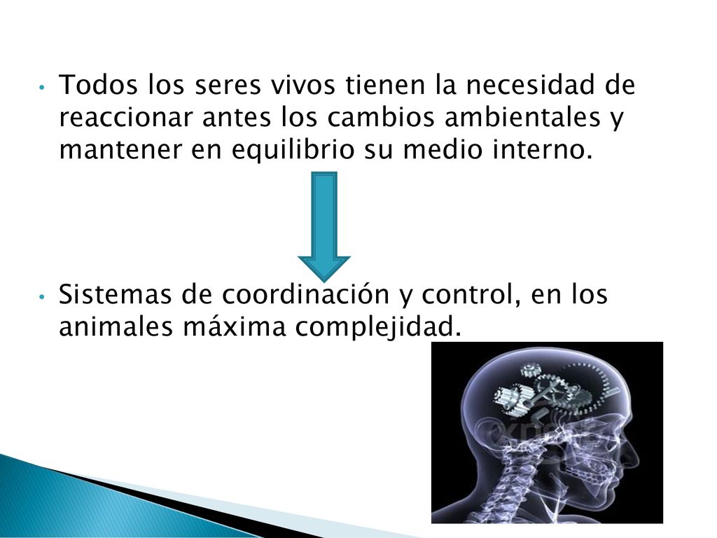 Todos los seres vivos tienen la necesidad de reaccionar antes los cambios ambientales y mantener en equilibrio su medio interno.