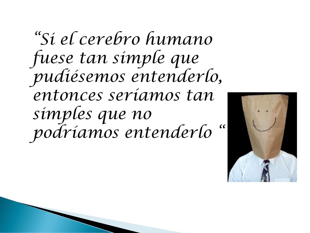 Si el cerebro humano fuese tan simple que pudiésemos entenderlo, entonces seríamos tan simples que no podríamos entenderlo