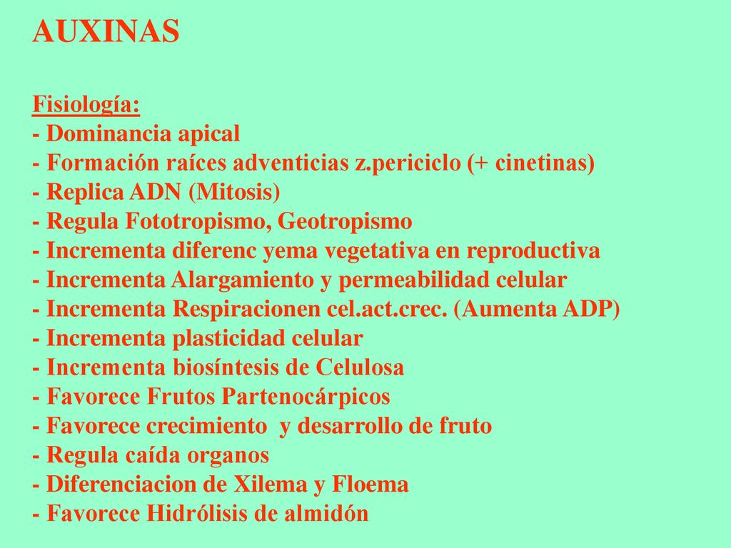 AUXINAS Fisiología: - Dominancia apical - Formación raíces adventicias z.periciclo (+ cinetinas) - Replica ADN (Mitosis) - Regula Fototropismo, Geotropismo - Incrementa diferenc yema vegetativa en reproductiva - Incrementa Alargamiento y permeabilidad celular - Incrementa Respiracionen cel.act.crec.