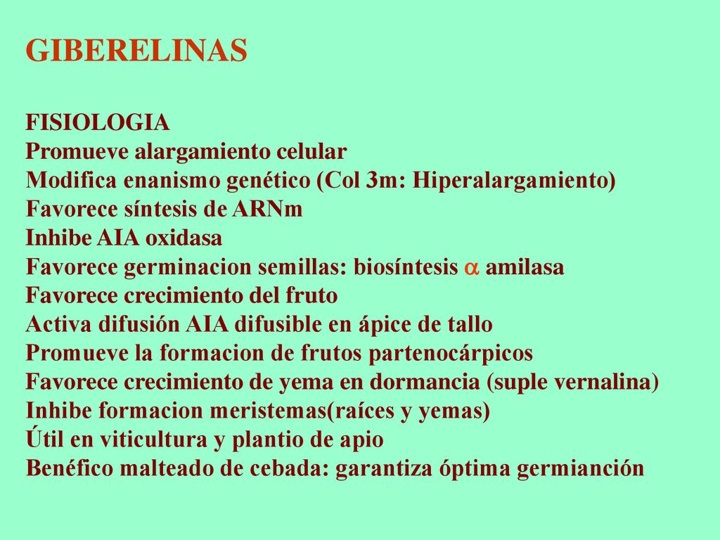 GIBERELINAS FISIOLOGIA Promueve alargamiento celular Modifica enanismo genético (Col 3m: Hiperalargamiento) Favorece síntesis de ARNm Inhibe AIA oxidasa Favorece germinacion semillas: biosíntesis  amilasa Favorece crecimiento del fruto Activa difusión AIA difusible en ápice de tallo Promueve la formacion de frutos partenocárpicos Favorece crecimiento de yema en dormancia (suple vernalina) Inhibe formacion meristemas(raíces y yemas) Útil en viticultura y plantio de apio Benéfico malteado de cebada: garantiza óptima germianción