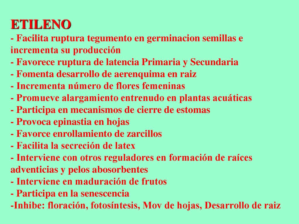 ETILENO - Facilita ruptura tegumento en germinacion semillas e incrementa su producción - Favorece ruptura de latencia Primaria y Secundaria - Fomenta desarrollo de aerenquima en raiz - Incrementa número de flores femeninas - Promueve alargamiento entrenudo en plantas acuáticas - Participa en mecanismos de cierre de estomas - Provoca epinastia en hojas - Favorce enrollamiento de zarcillos - Facilita la secreción de latex - Interviene con otros reguladores en formación de raíces adventicias y pelos abosorbentes - Interviene en maduración de frutos - Participa en la senescencia -Inhibe: floración, fotosíntesis, Mov de hojas, Desarrollo de raiz