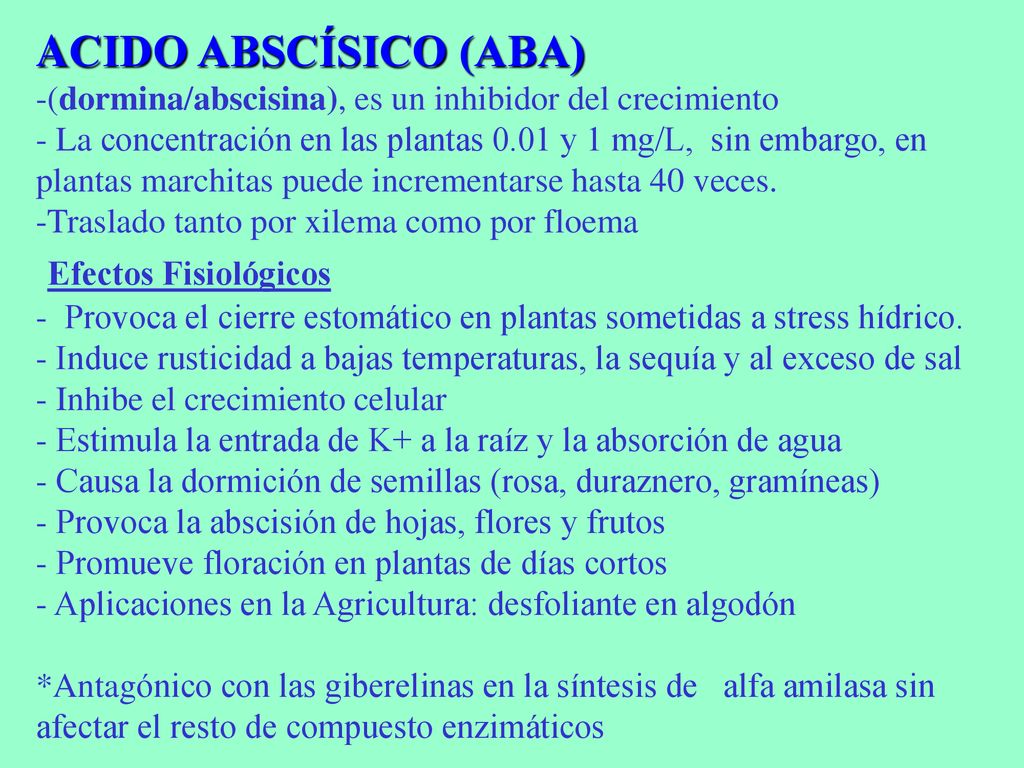 ACIDO ABSCÍSICO (ABA) -(dormina/abscisina), es un inhibidor del crecimiento - La concentración en las plantas 0.01 y 1 mg/L, sin embargo, en plantas marchitas puede incrementarse hasta 40 veces.