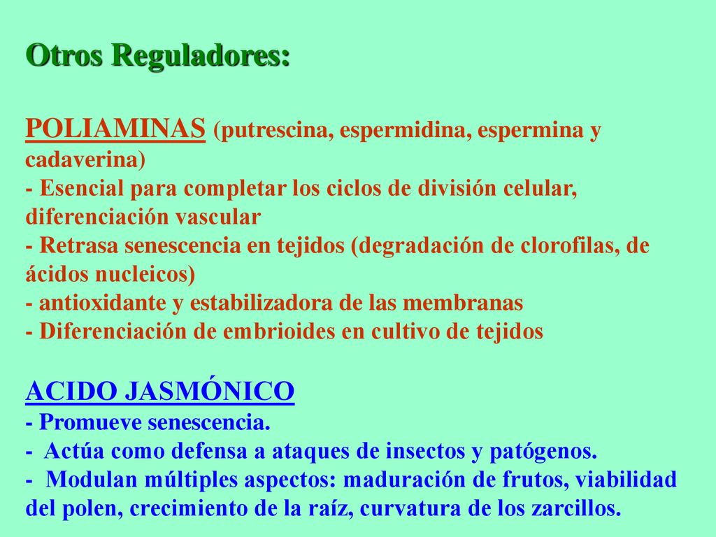 Otros Reguladores: POLIAMINAS (putrescina, espermidina, espermina y cadaverina) - Esencial para completar los ciclos de división celular, diferenciación vascular - Retrasa senescencia en tejidos (degradación de clorofilas, de ácidos nucleicos) - antioxidante y estabilizadora de las membranas - Diferenciación de embrioides en cultivo de tejidos ACIDO JASMÓNICO - Promueve senescencia.