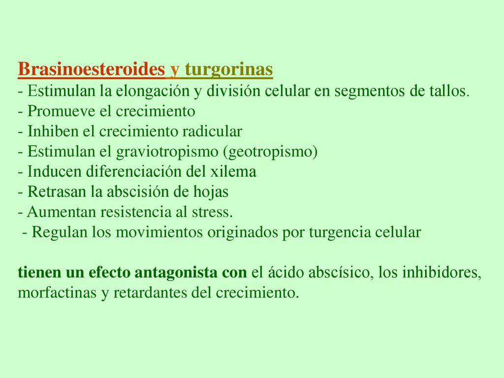 Brasinoesteroides y turgorinas - Estimulan la elongación y división celular en segmentos de tallos.