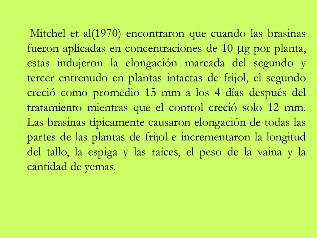 Mitchel et al(1970) encontraron que cuando las brasinas fueron aplicadas en concentraciones de 10 g por planta, estas indujeron la elongación marcada del segundo y tercer entrenudo en plantas intactas de frijol, el segundo creció como promedio 15 mm a los 4 días después del tratamiento mientras que el control creció solo 12 mm.