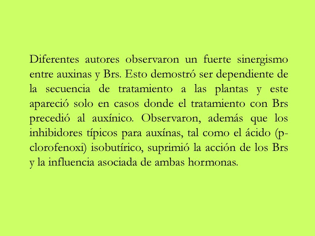 Diferentes autores observaron un fuerte sinergismo entre auxinas y Brs