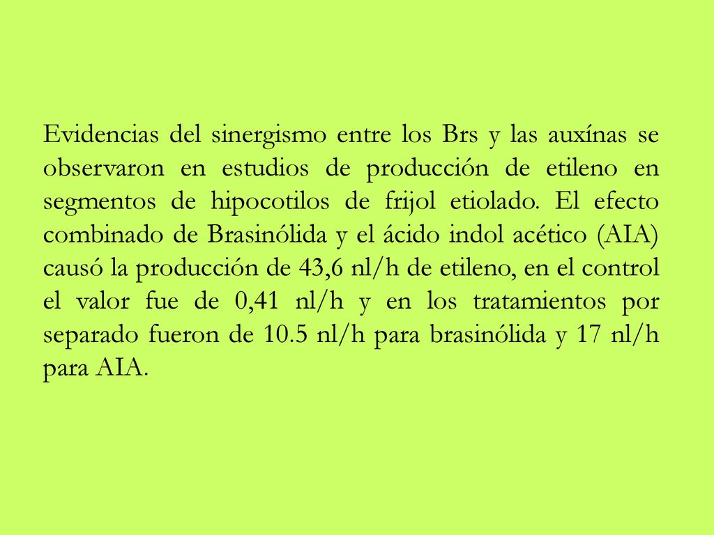 Evidencias del sinergismo entre los Brs y las auxínas se observaron en estudios de producción de etileno en segmentos de hipocotilos de frijol etiolado.