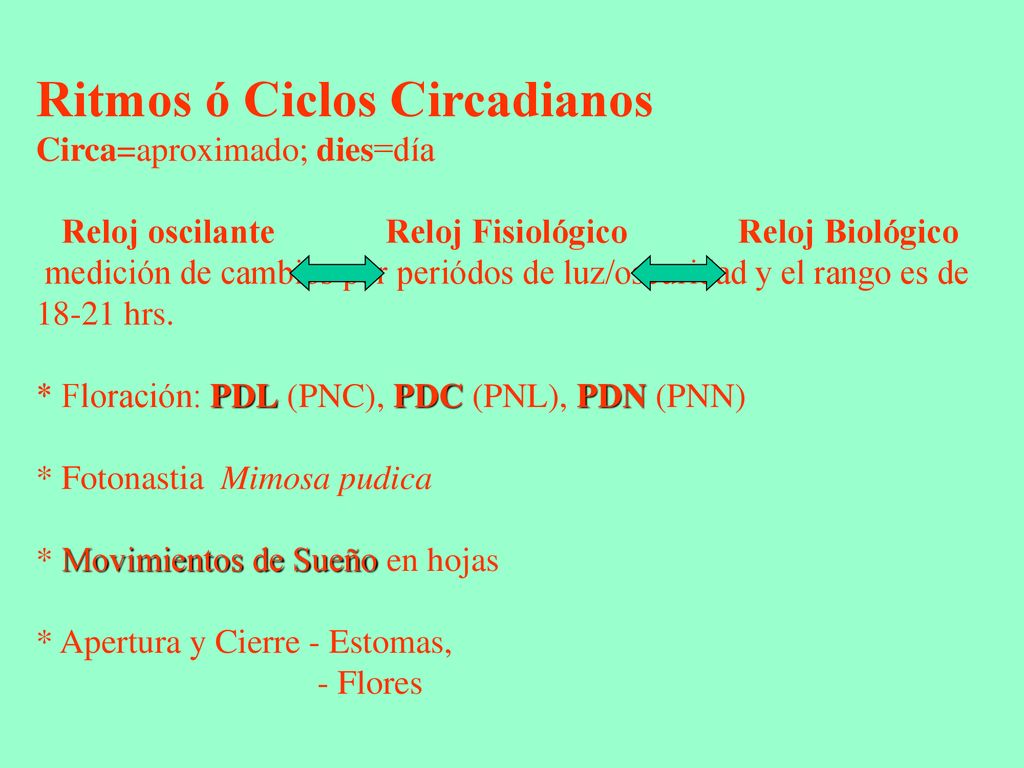 Ritmos ó Ciclos Circadianos Circa=aproximado; dies=día Reloj oscilante Reloj Fisiológico Reloj Biológico medición de cambios por periódos de luz/oscuridad y el rango es de hrs.