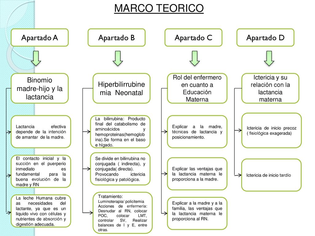 MARCO TEORICO Apartado A Apartado B Apartado C Apartado D