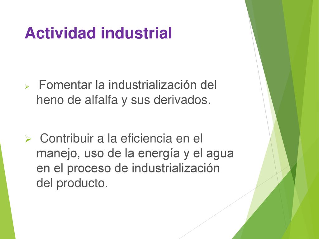 Actividad industrial Fomentar la industrialización del heno de alfalfa y sus derivados.
