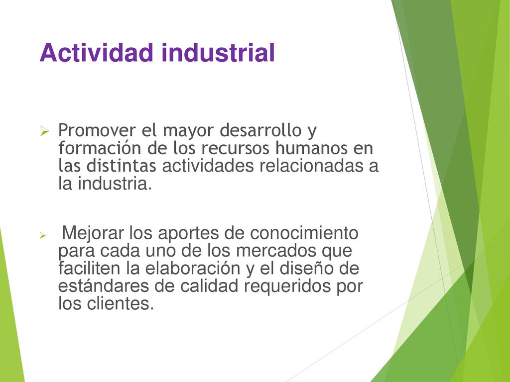 Actividad industrial Promover el mayor desarrollo y formación de los recursos humanos en las distintas actividades relacionadas a la industria.