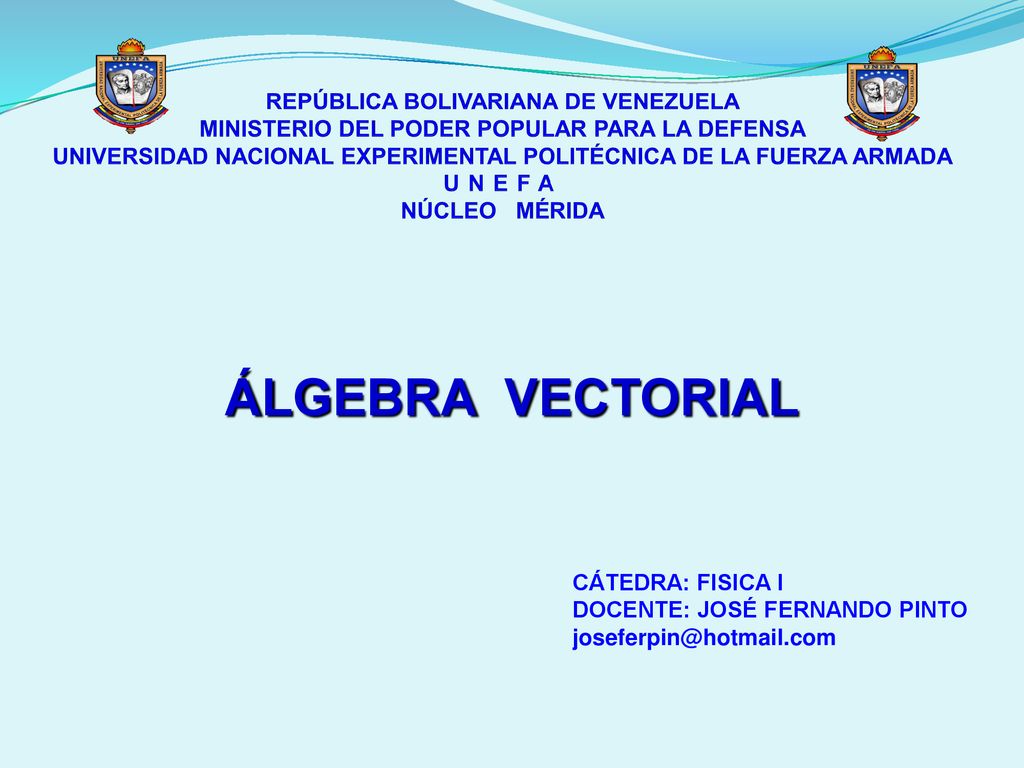 REPÚBLICA BOLIVARIANA DE VENEZUELA MINISTERIO DEL PODER POPULAR PARA LA DEFENSA UNIVERSIDAD NACIONAL EXPERIMENTAL POLITÉCNICA DE LA FUERZA ARMADA UNEFA NÚCLEO MÉRIDA