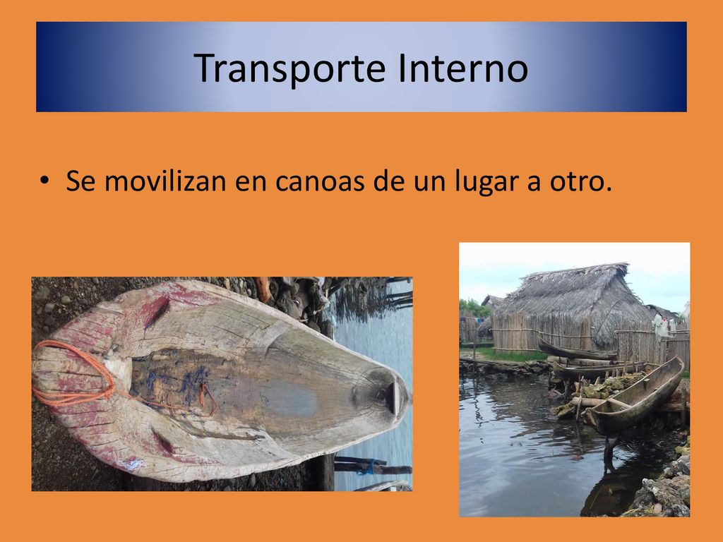Transporte Interno Se movilizan en canoas de un lugar a otro.
