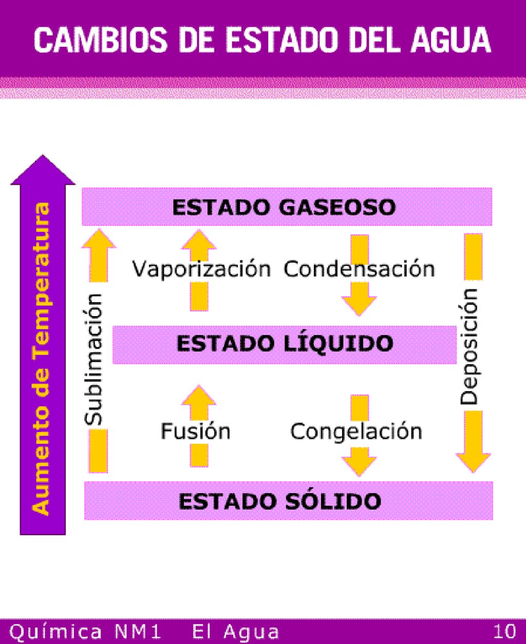 Actividad sugerida ¿Por qué el hielo flota Interesante pregunta.