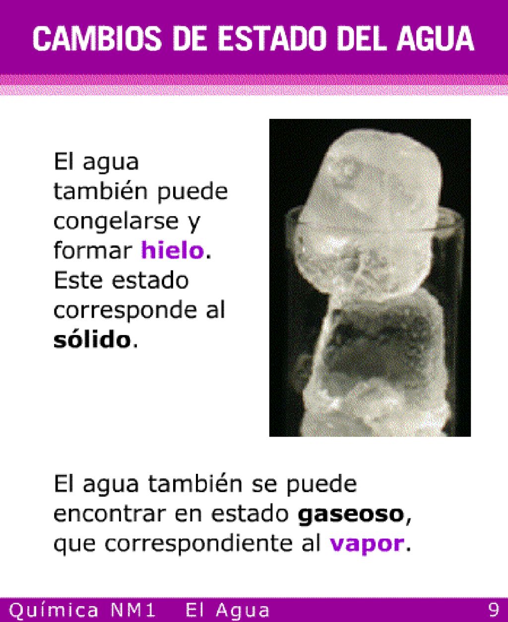 Actividad sugerida ¿Por qué el hielo flota Interesante pregunta.