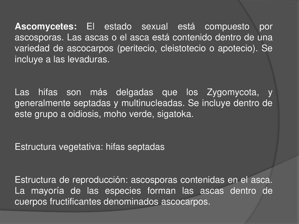 Ascomycetes: El estado sexual está compuesto por ascosporas