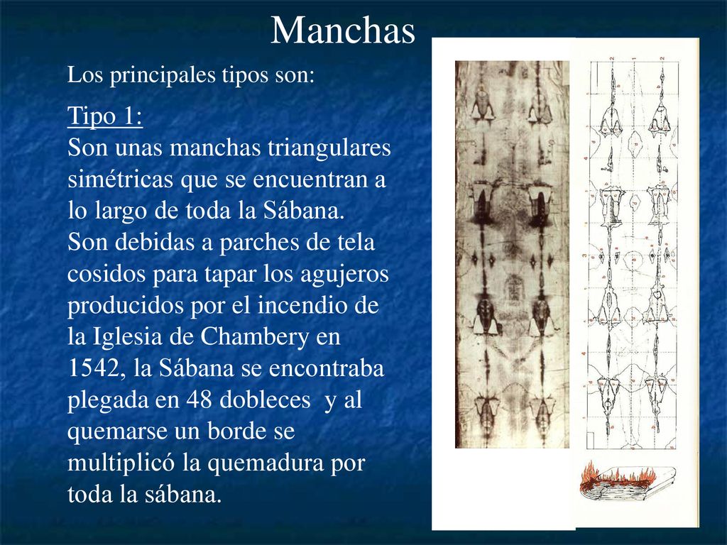 Manchas Los principales tipos son: Tipo 1: