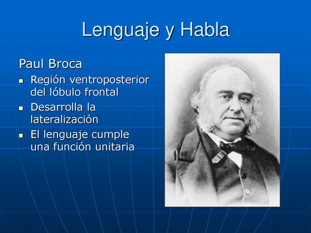 Lenguaje y Habla Paul Broca Región ventroposterior del lóbulo frontal