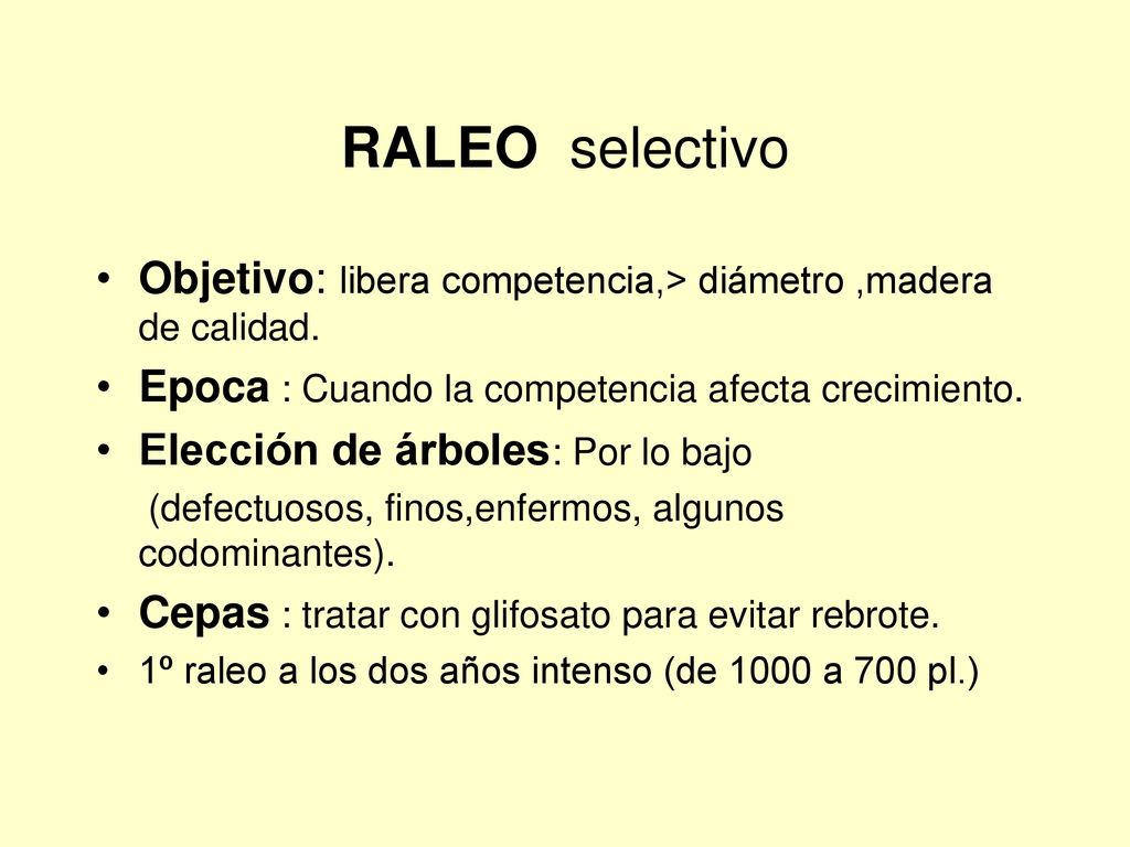 RALEO selectivo Objetivo: libera competencia,> diámetro ,madera de calidad. Epoca : Cuando la competencia afecta crecimiento.