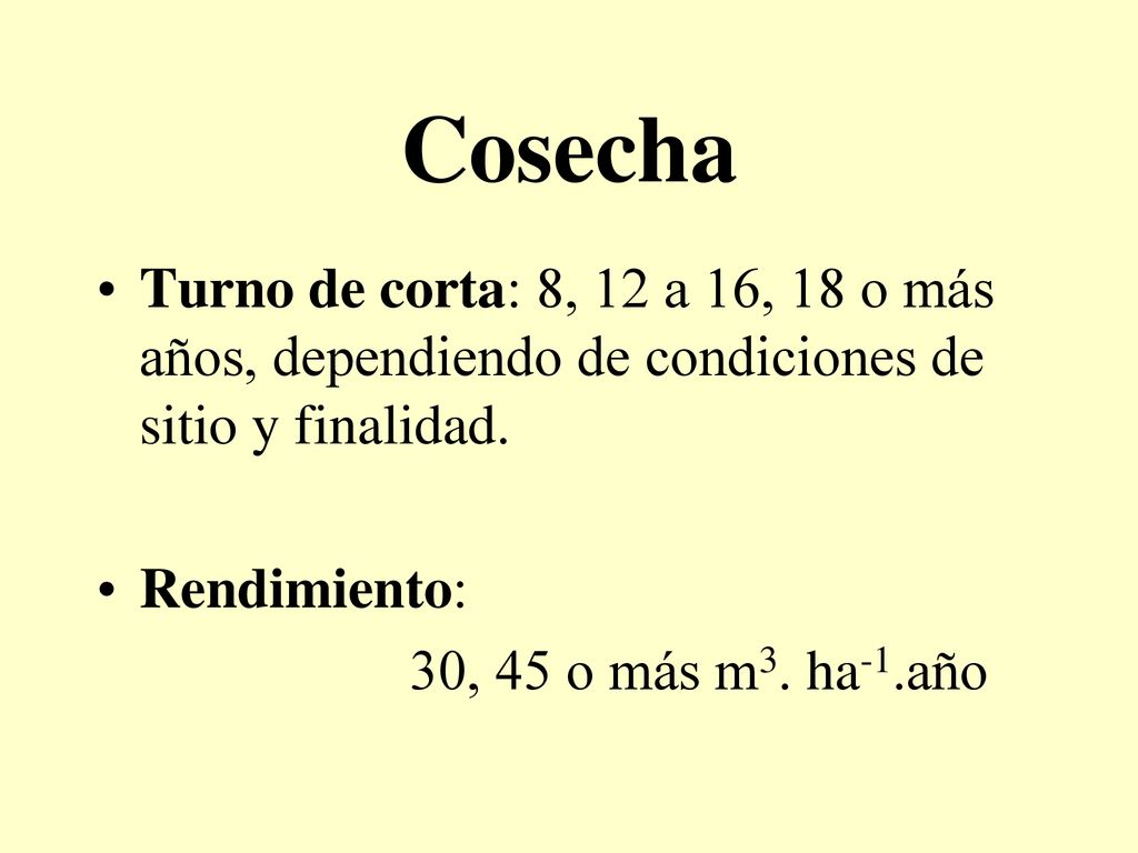 Cosecha Turno de corta: 8, 12 a 16, 18 o más años, dependiendo de condiciones de sitio y finalidad.