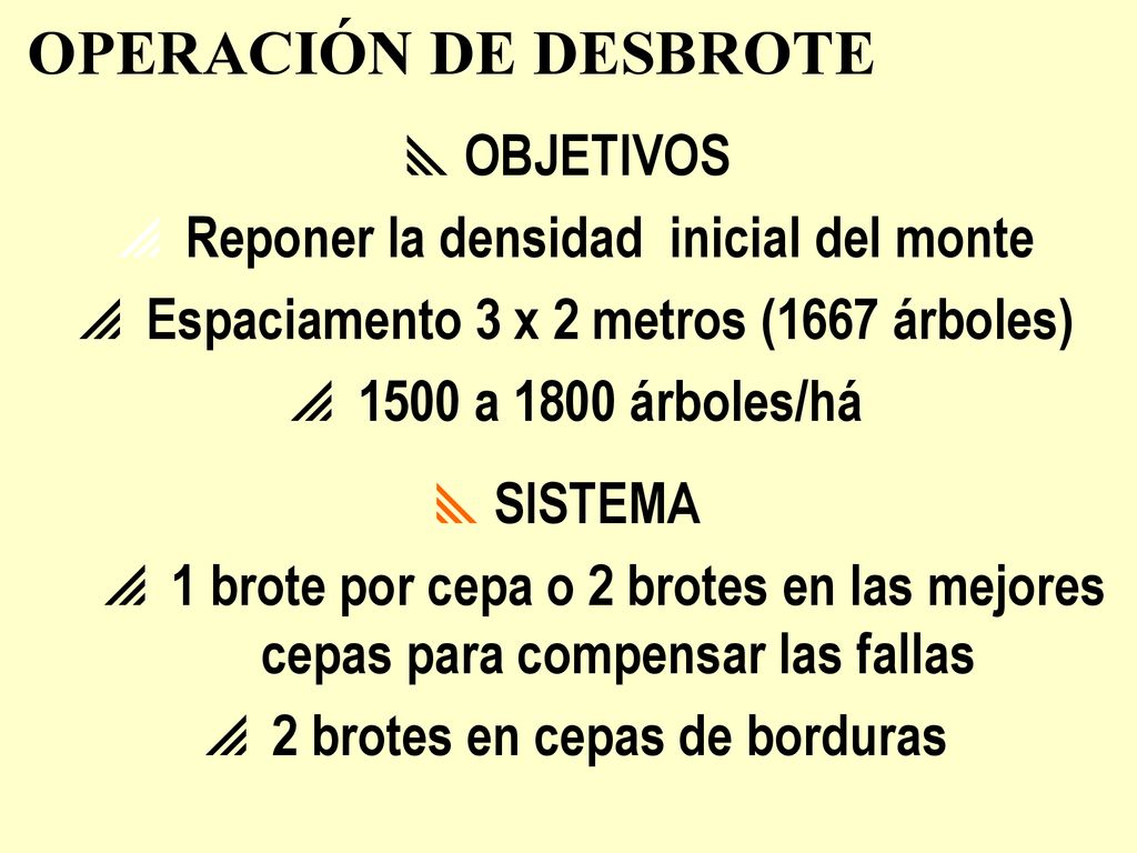 OPERACIÓN DE DESBROTE OBJETIVOS Reponer la densidad inicial del monte