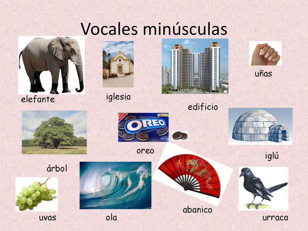 Vocales minúsculas uñas iglesia elefante edificio oreo iglú árbol