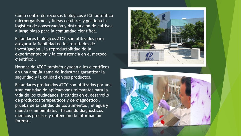 Como centro de recursos biológicos ATCC autentica microorganismos y líneas celulares y gestiona la logística de conservación y distribución de cultivos a largo plazo para la comunidad científica.