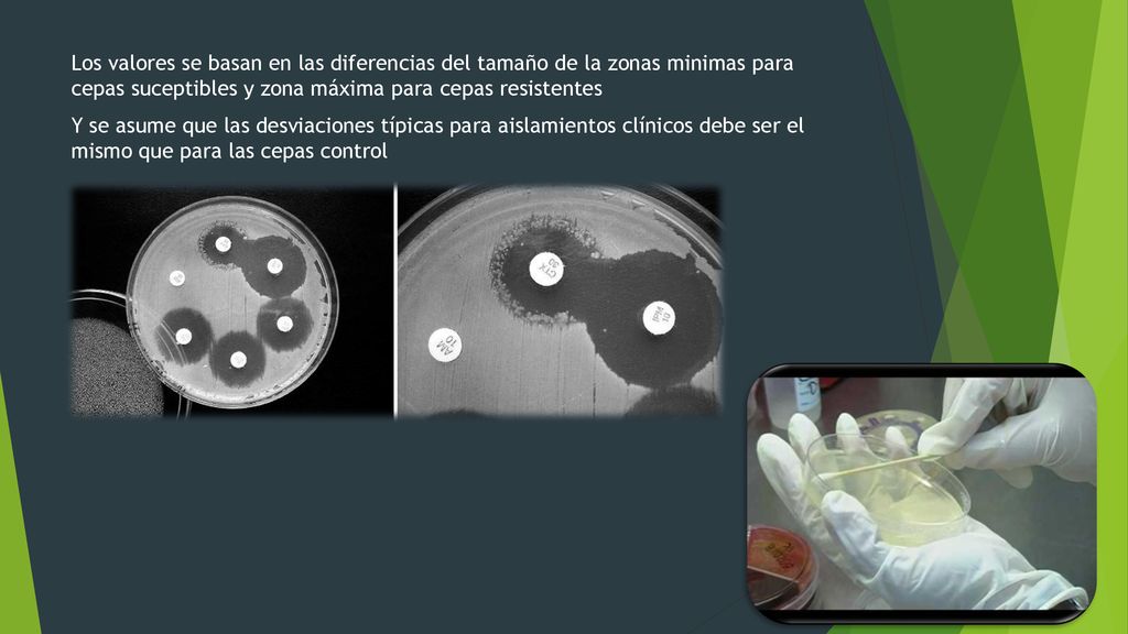 Los valores se basan en las diferencias del tamaño de la zonas minimas para cepas suceptibles y zona máxima para cepas resistentes Y se asume que las desviaciones típicas para aislamientos clínicos debe ser el mismo que para las cepas control