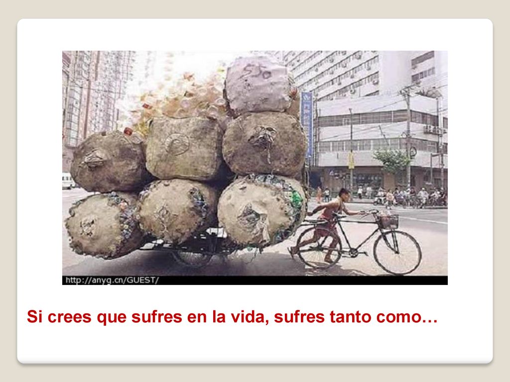 Si crees que sufres en la vida, sufres tanto como…