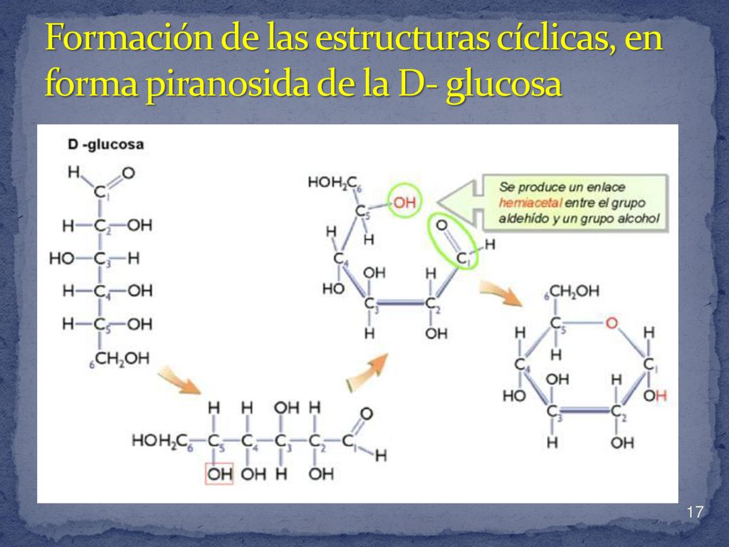 Formación de las estructuras cíclicas, en forma piranosida de la D- glucosa