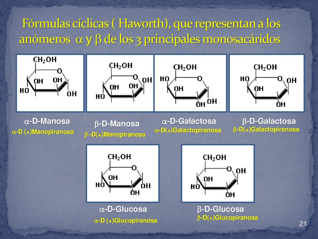 Fórmulas cíclicas ( Haworth), que representan a los anómeros  y  de los 3 principales monosacáridos