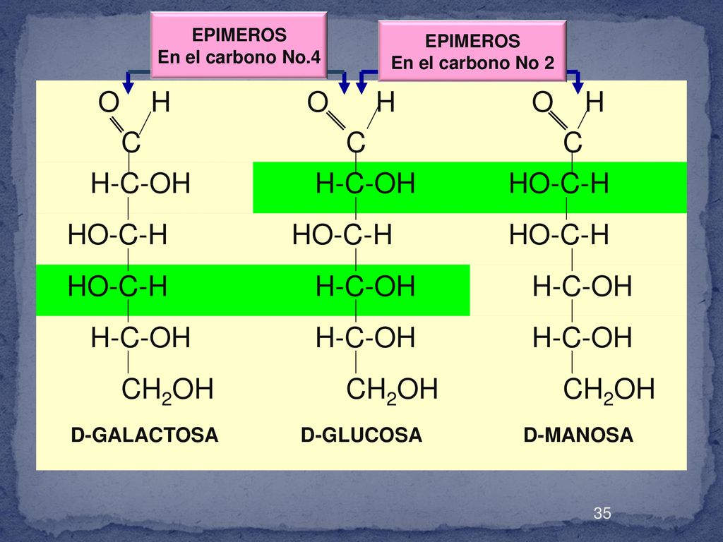 O H C O H H-C-OH HO-C-H CH2OH D-GALACTOSA D-GLUCOSA D-MANOSA EPIMEROS