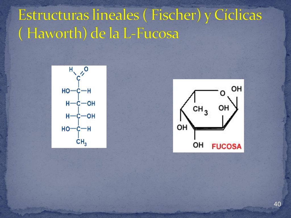 Estructuras lineales ( Fischer) y Cíclicas ( Haworth) de la L-Fucosa