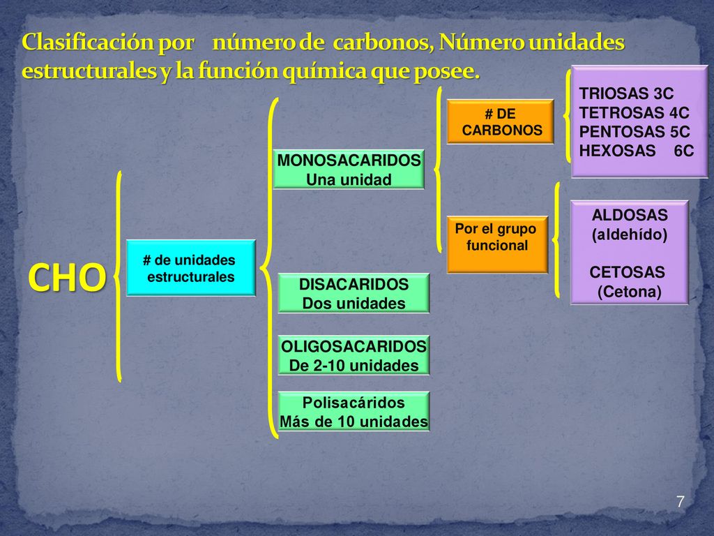 Clasificación por número de carbonos, Número unidades estructurales y la función química que posee.