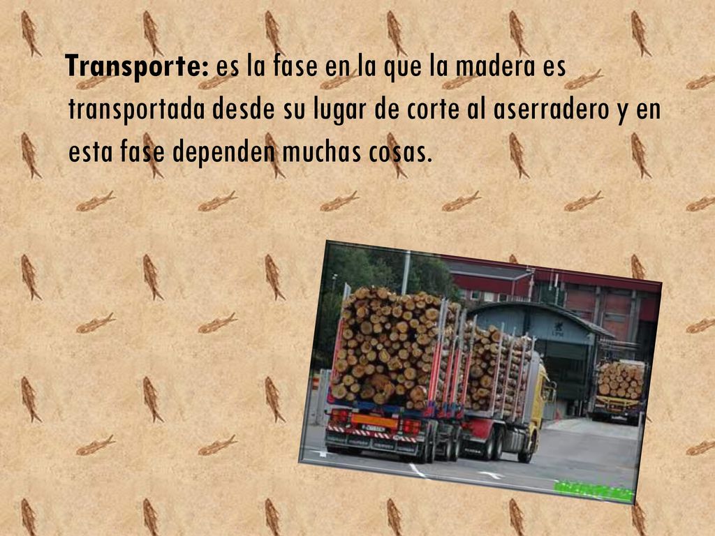 Transporte: es la fase en la que la madera es transportada desde su lugar de corte al aserradero y en esta fase dependen muchas cosas.