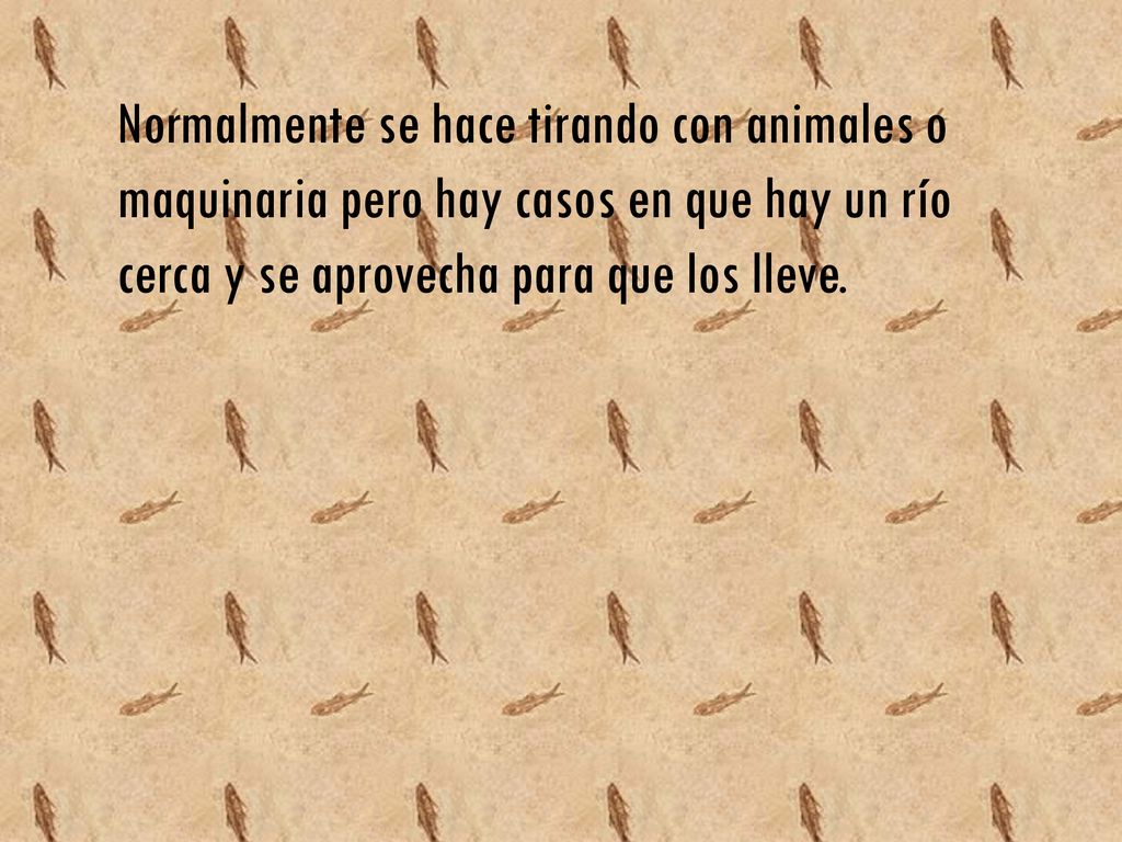 Normalmente se hace tirando con animales o maquinaria pero hay casos en que hay un río cerca y se aprovecha para que los lleve.