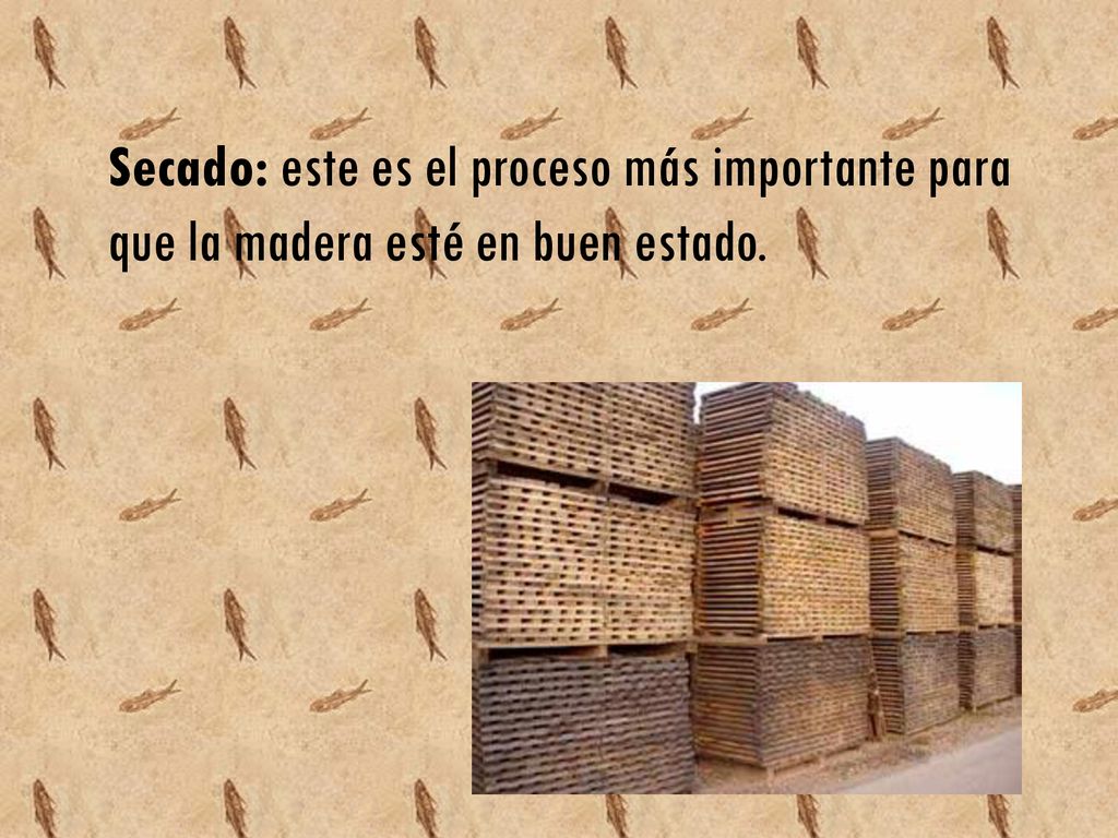 Secado: este es el proceso más importante para que la madera esté en buen estado.