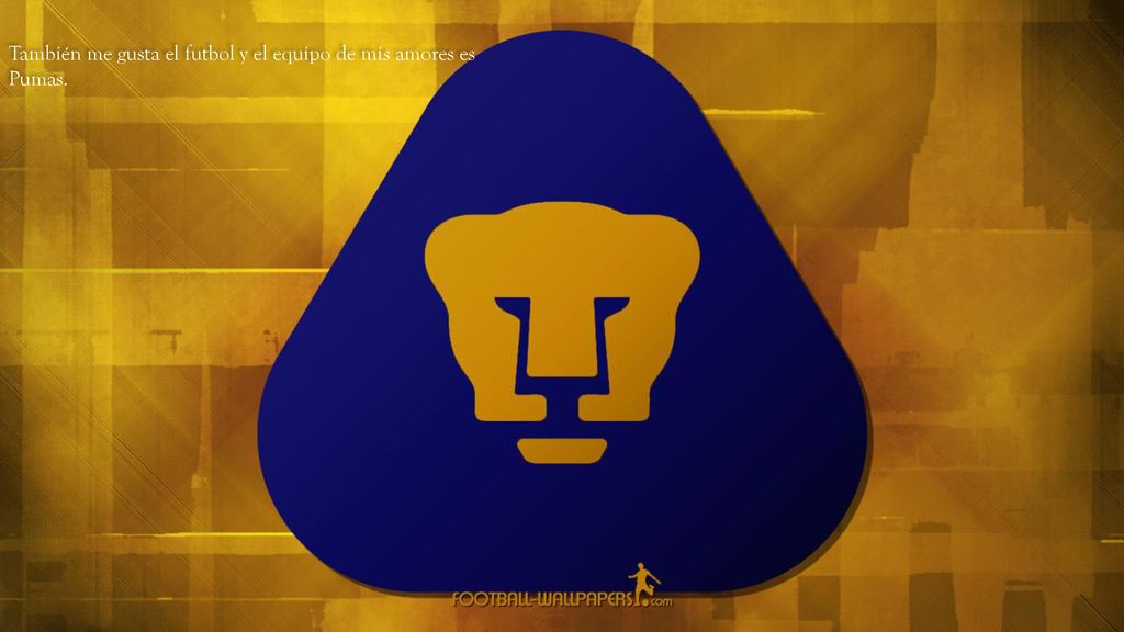 También me gusta el futbol y el equipo de mis amores es Pumas.