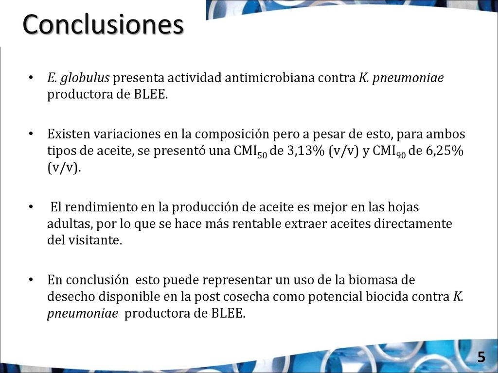 Conclusiones E. globulus presenta actividad antimicrobiana contra K. pneumoniae productora de BLEE.