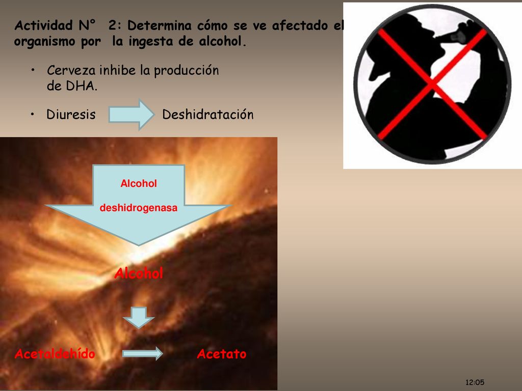 Actividad N° 2: Determina cómo se ve afectado el organismo por la ingesta de alcohol.