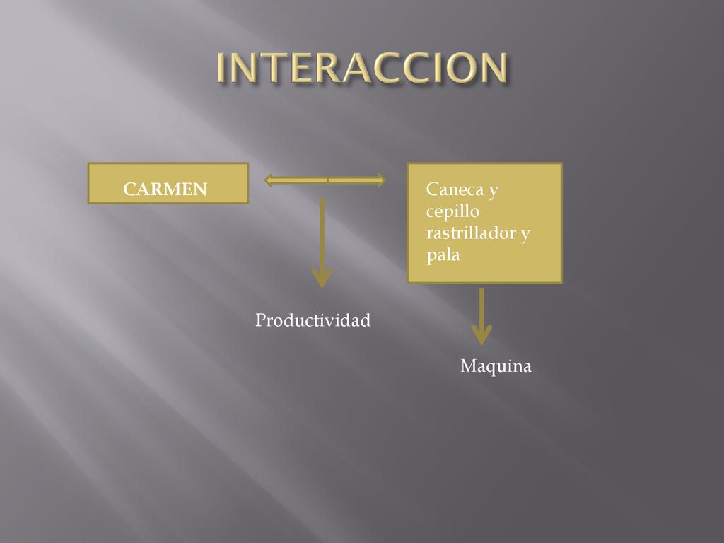 INTERACCION CARMEN Caneca y cepillo rastrillador y pala Productividad