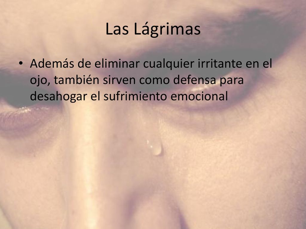 Las Lágrimas Además de eliminar cualquier irritante en el ojo, también sirven como defensa para desahogar el sufrimiento emocional.