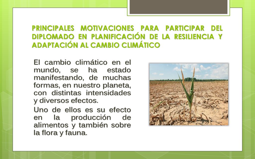 PRINCIPALES MOTIVACIONES PARA PARTICIPAR DEL DIPLOMADO EN PLANIFICACIÓN DE LA RESILIENCIA Y ADAPTACIÓN AL CAMBIO CLIMÁTICO