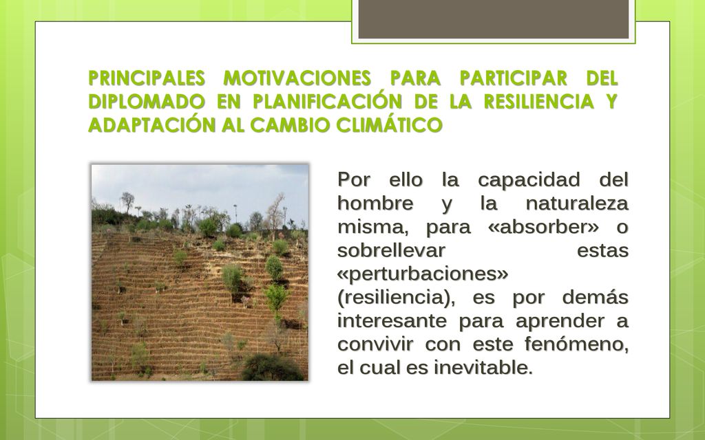 PRINCIPALES MOTIVACIONES PARA PARTICIPAR DEL DIPLOMADO EN PLANIFICACIÓN DE LA RESILIENCIA Y ADAPTACIÓN AL CAMBIO CLIMÁTICO
