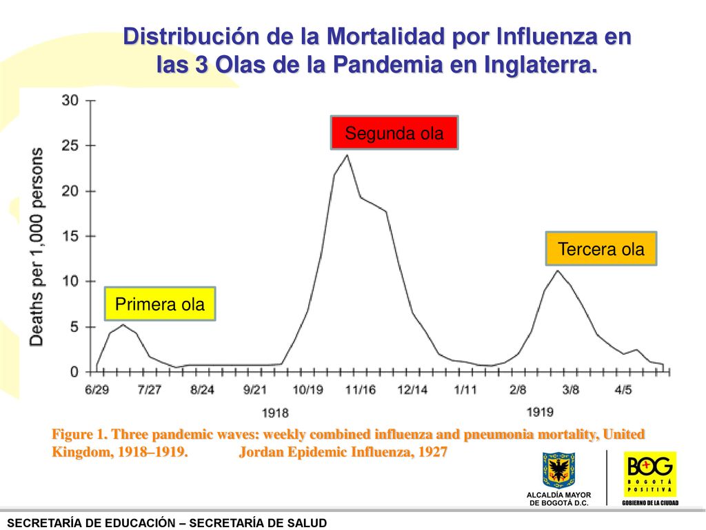 Distribución de la Mortalidad por Influenza en las 3 Olas de la Pandemia en Inglaterra.
