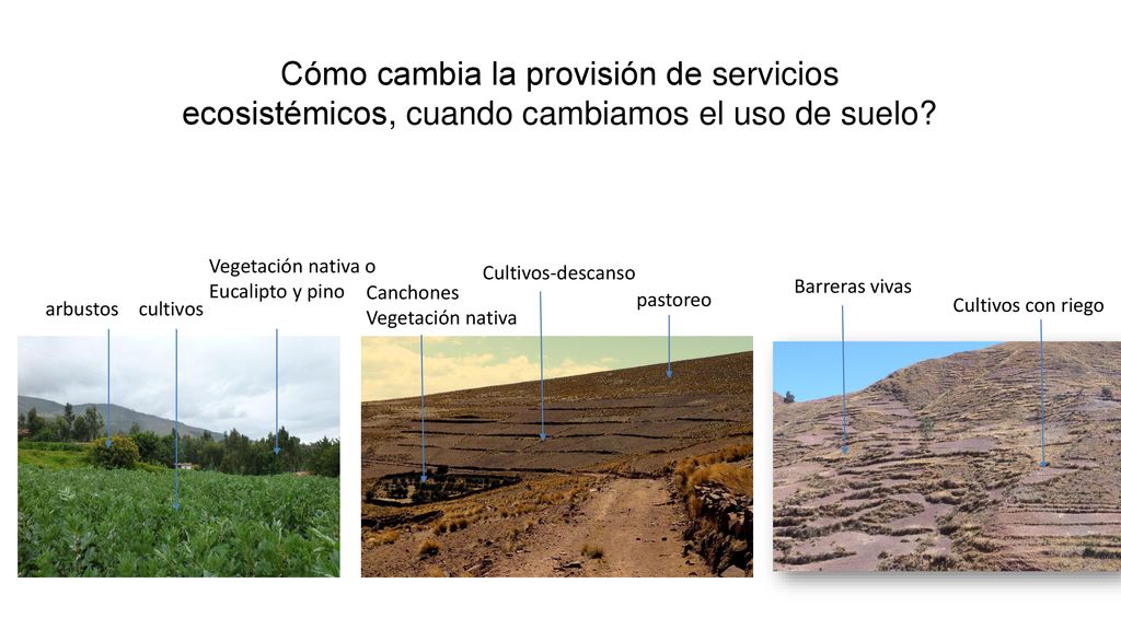Cómo cambia la provisión de servicios ecosistémicos, cuando cambiamos el uso de suelo