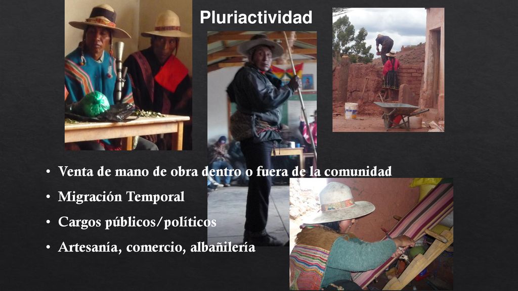 Pluriactividad Venta de mano de obra dentro o fuera de la comunidad