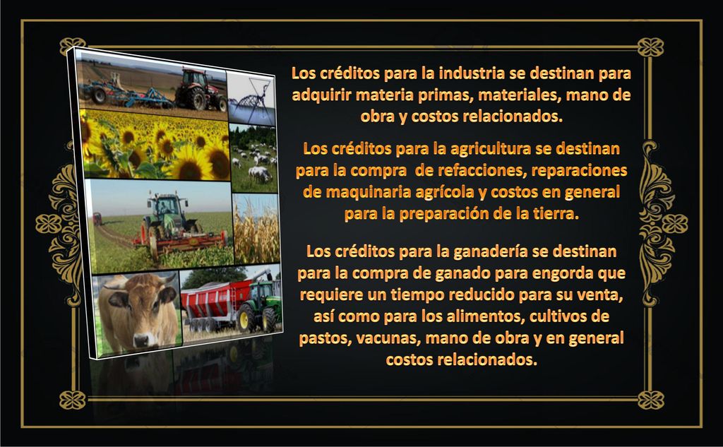 Los créditos para la industria se destinan para adquirir materia primas, materiales, mano de obra y costos relacionados.