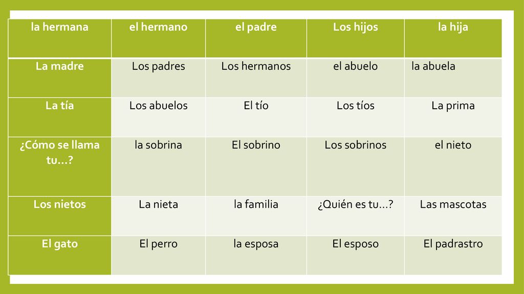 la hermana el hermano. el padre. Los hijos. la hija. La madre. Los padres. Los hermanos. el abuelo.
