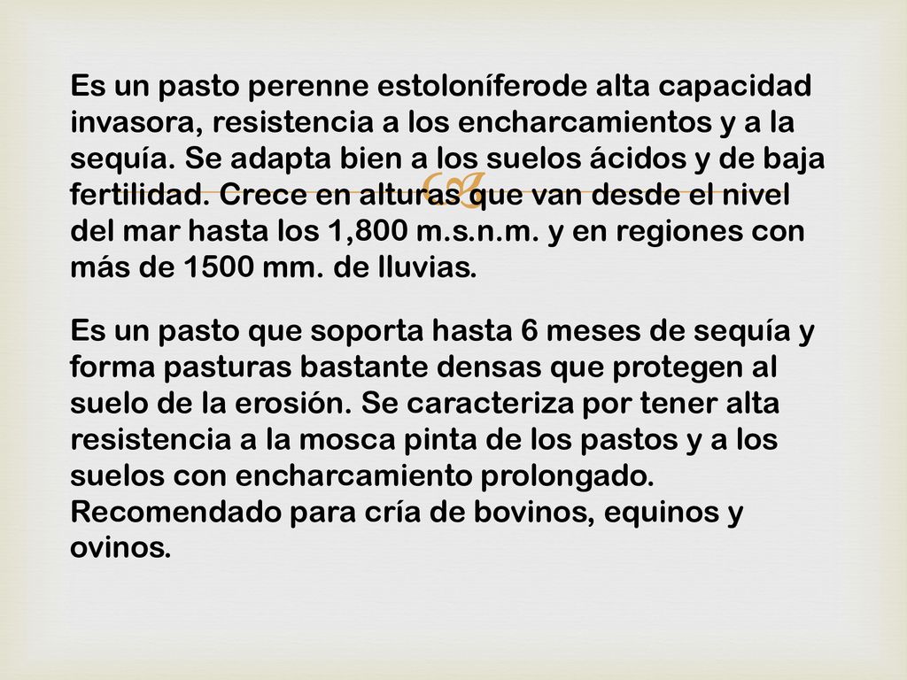 Es un pasto perenne estoloníferode alta capacidad invasora, resistencia a los encharcamientos y a la sequía. Se adapta bien a los suelos ácidos y de baja fertilidad. Crece en alturas que van desde el nivel del mar hasta los 1,800 m.s.n.m. y en regiones con más de 1500 mm. de lluvias.